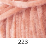 10690-223