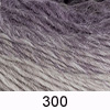 10710-300