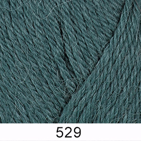 25-529